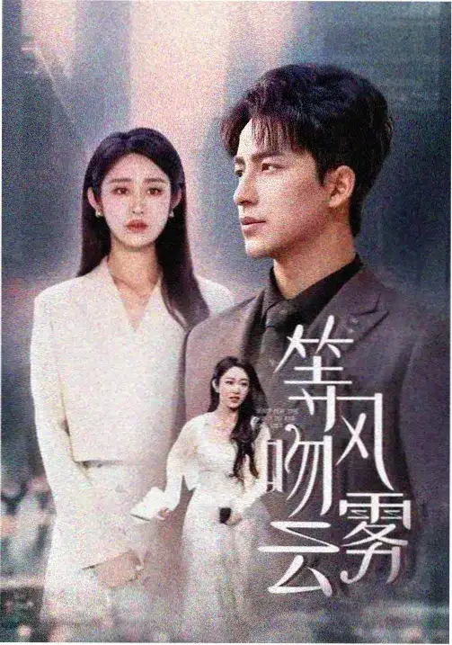 无声证人 电视剧 2024 悬疑律政 热度排行第二